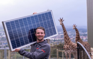 edinburgh zoo solar meadow