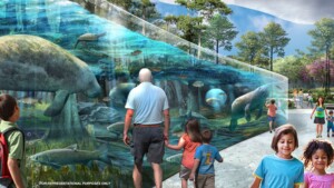 jacksonville zoo new manatee habitat