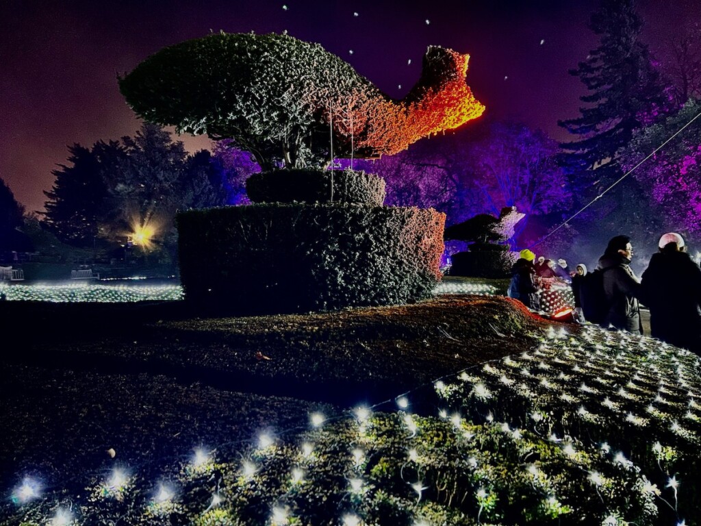 T3 warwick castle light trail