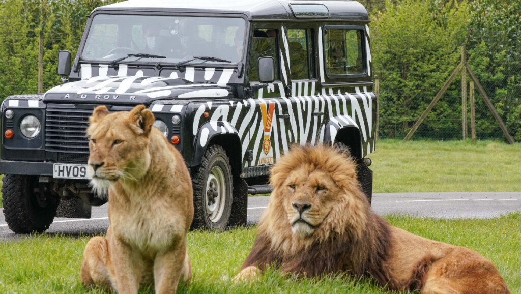 longleat safari park