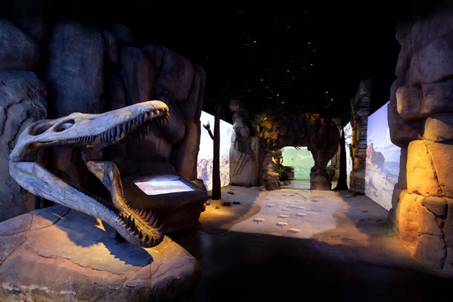 Mar Jurásico - exhibit with large dinosaur skull