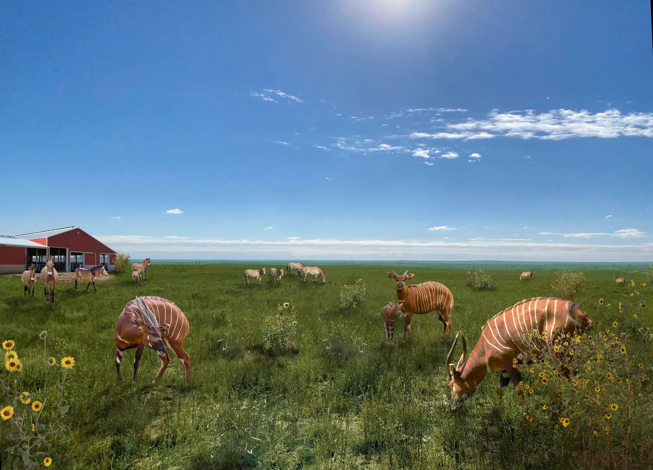 Denver Zoo to open new 570acre wildlife preserve blooloop