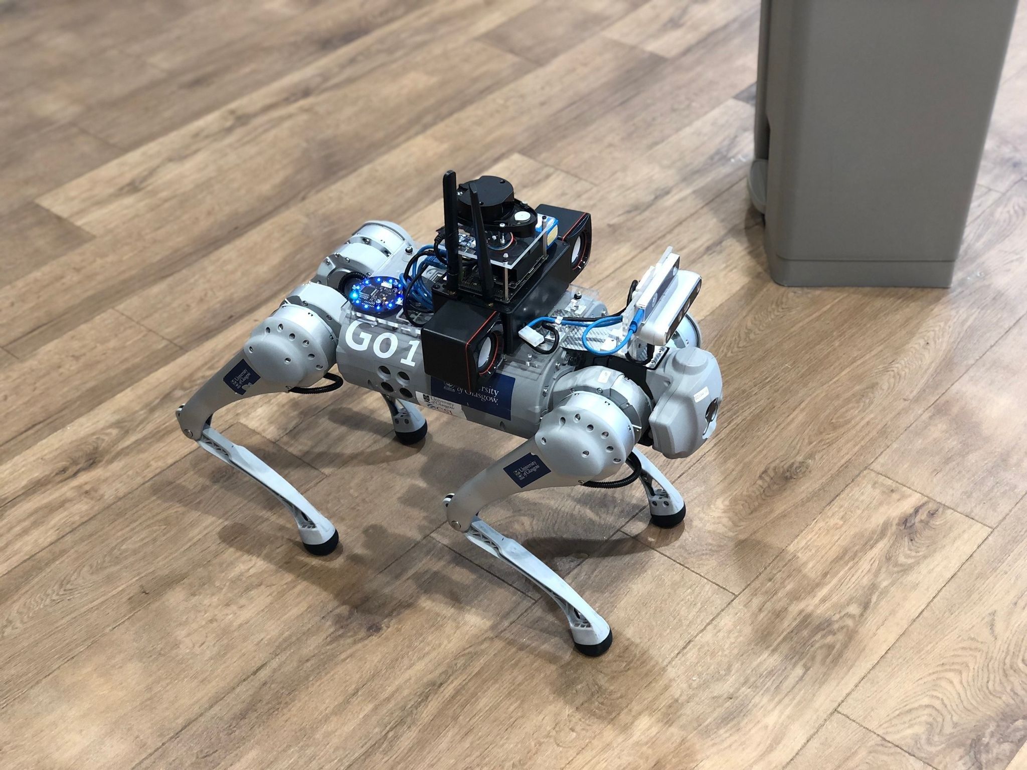 Robot guide dogs to give blind visitors museum tours blooloop
