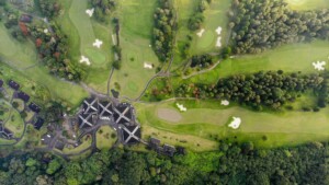 Aerial view golf course with trees