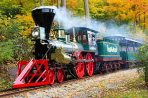 Severn Lamb train