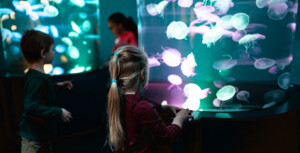 children look at brightly lit jellyfish at Virginia Aquarium