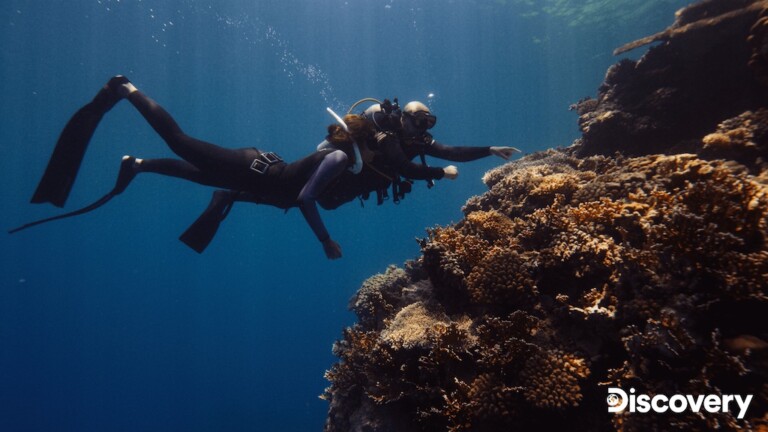 still from Beneath the Surface- The Fight for Corals Red Sea Discovery