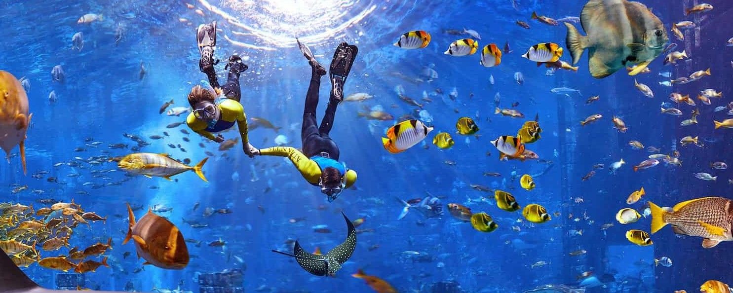 Travel industry trends and tech with Skift - Vimarsana News