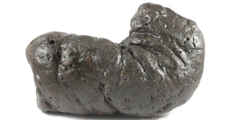 poozeum
