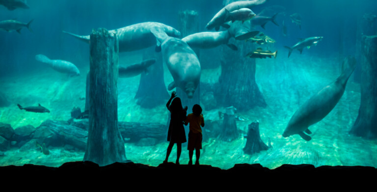 river wonders singapore