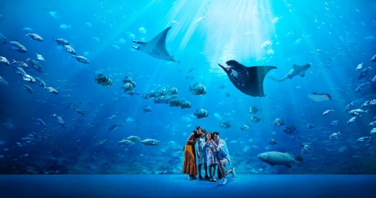 sea aquarium sentosa