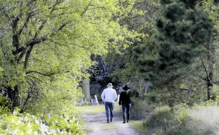 Attractions.io partners Magnolia Plantation & Gardens