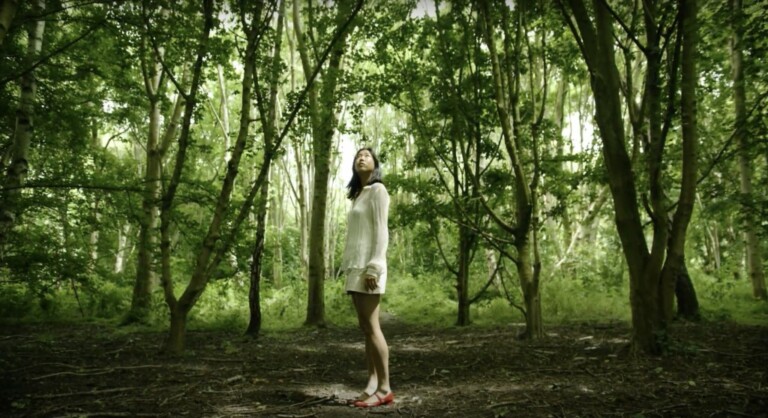 Journey HomeForest wellness tool