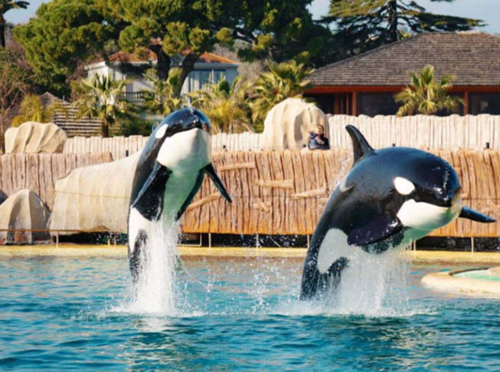 marineland france theme park closures