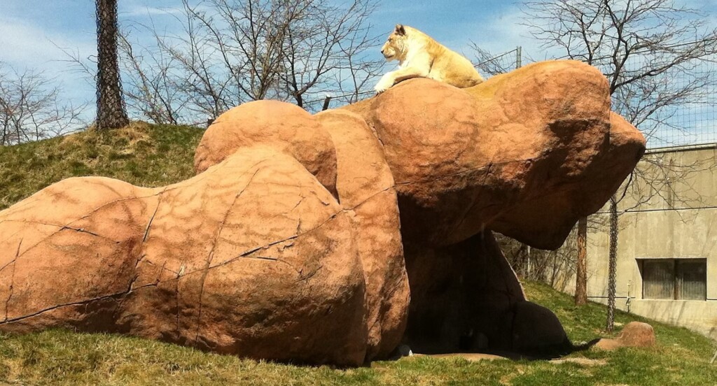 Toronto Zoo Rockscapes of Canada