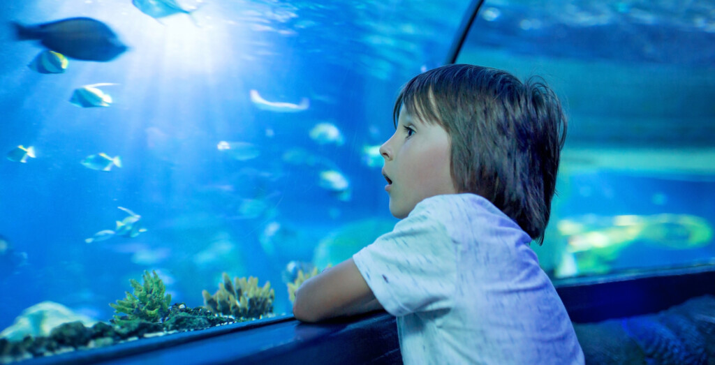 Young-boy-looks-in-wonder-in-aquarium-tunnel