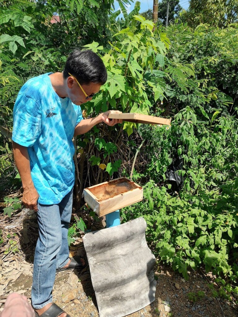 beehive fences Ruam Thai SSA trip