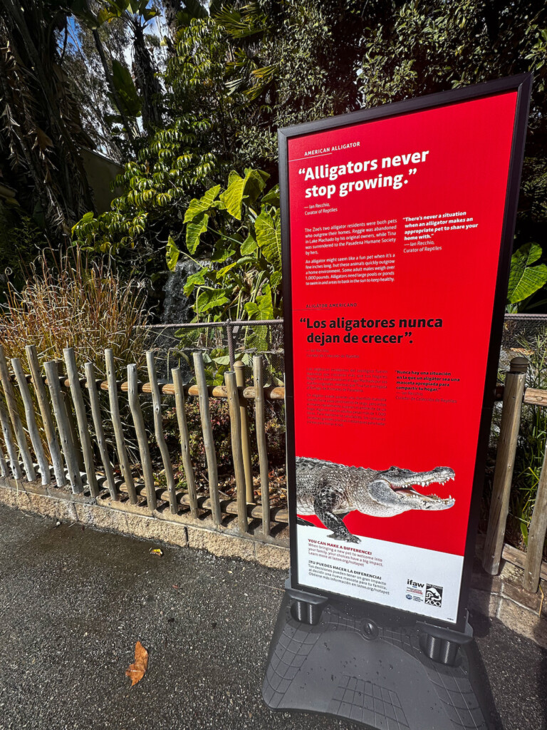 AZA Not a Pet campaign - Alligator LA Zoo