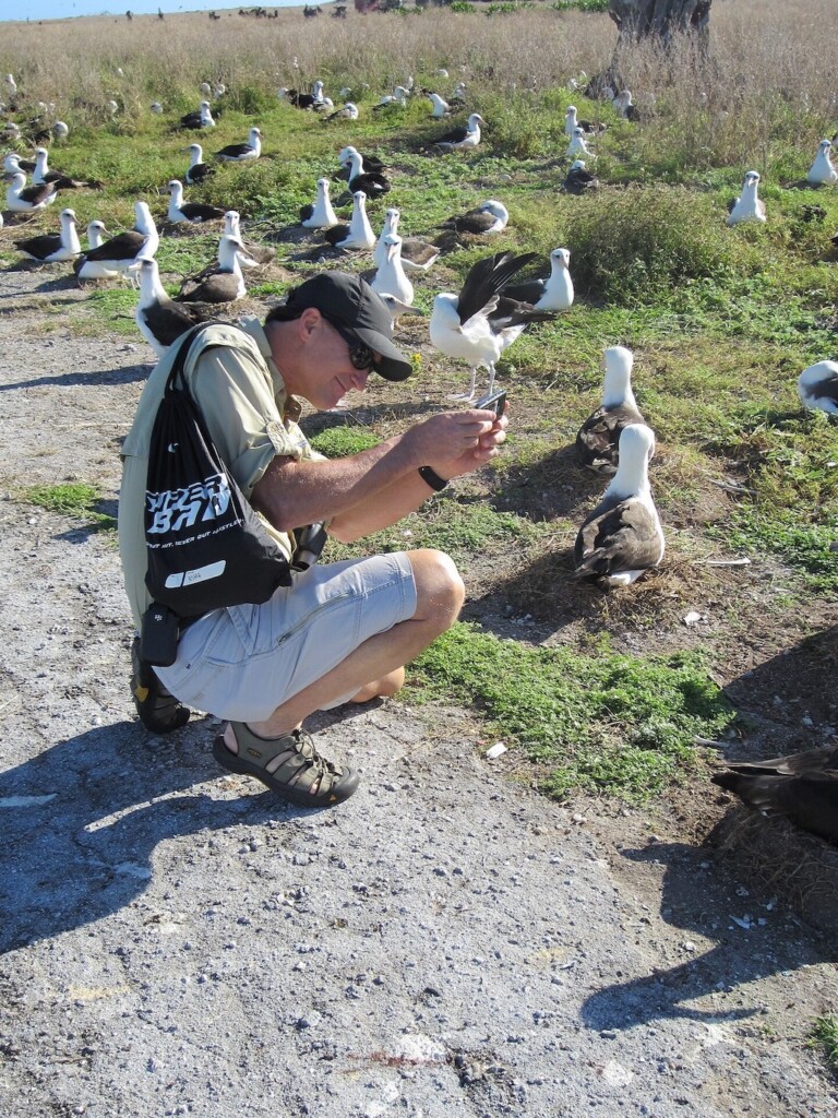 Dan Ashe of AZA with Laysan albatross - Midway Atoll