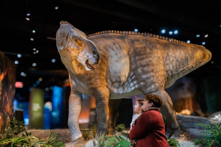 edelman fossil park and museum
