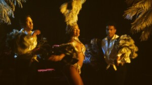 The Lost Estate Paradise Under The Stars performers
