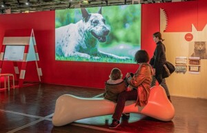 Universcience Dogs and Cats