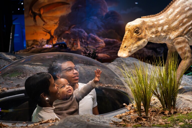 edelman fossil park and museum