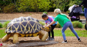 Detroit Zoo Wildlife Rescue experience