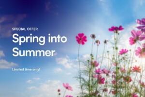LOOP-summer-offer