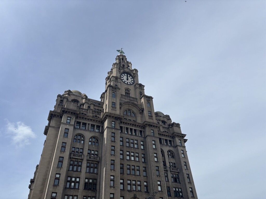 Liver Building
