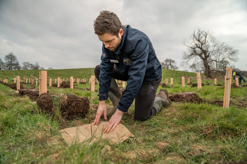 chester zoo networks for nature