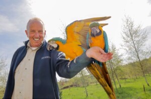 kynren bird show