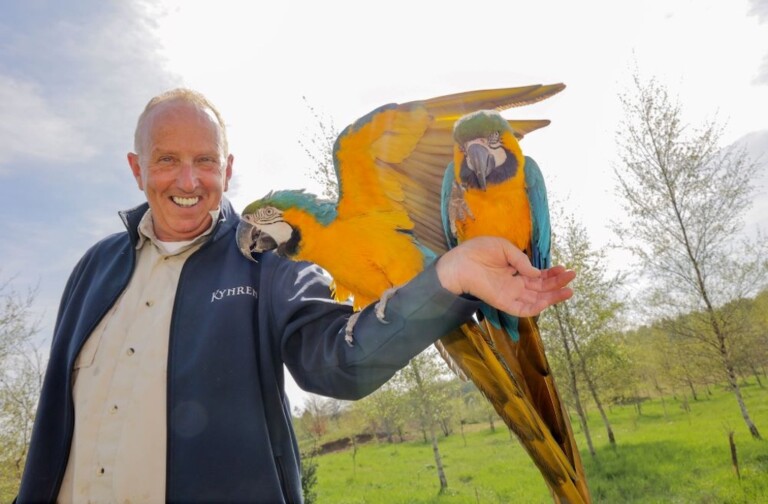 kynren bird show