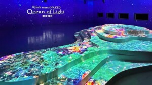 Christie Xpark meets NAKED – Ocean of Light Immersive Ocean. Courtesy of Dacoms Technology