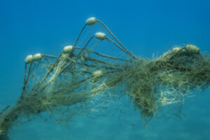 marine debris fishing nets at sea