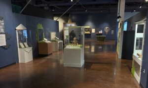National Geographic Becoming Jane at Fort Worth Museum of Science and History