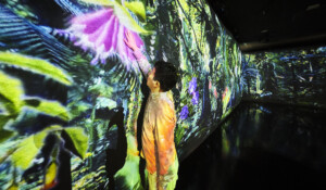 The Hidden Forest Gardens by the Bay