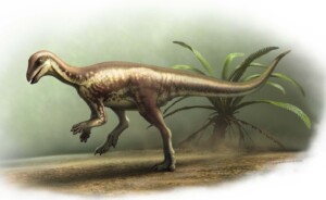 natural history museum new dinosaur