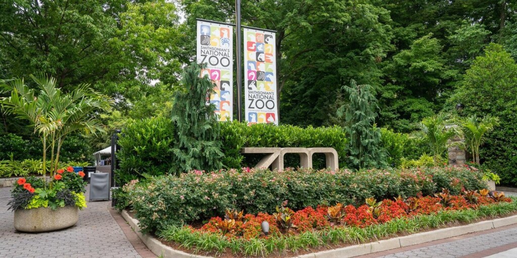 smithsonian national zoo