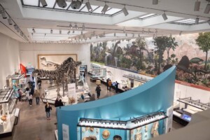 Yale Peabody Museum