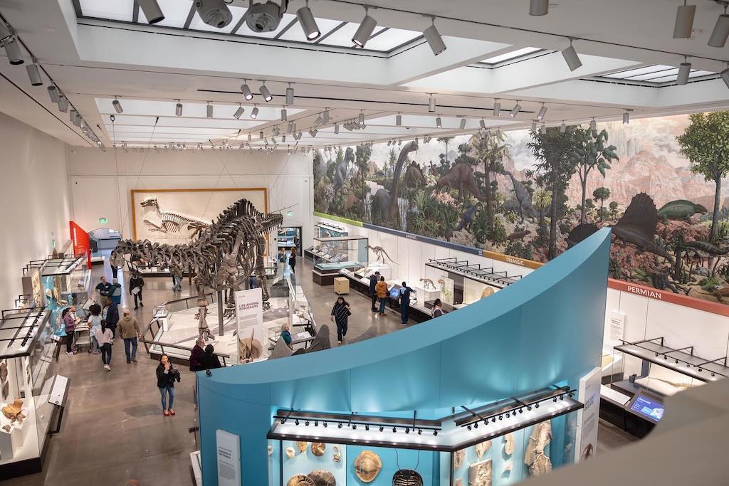 Research Casting International celebrates renovation of dinosaur hall at Yale...