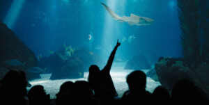 Kids During Underwater Life Class in Oceanarium. Children Watching Fish. Teacher Showing Sharks, Rays, Sunfish, Mantas