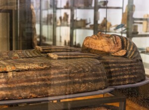 asru manchester museum