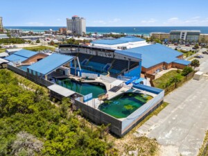 gulf world marine park