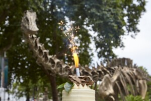 natural history museum gardens anniversary
