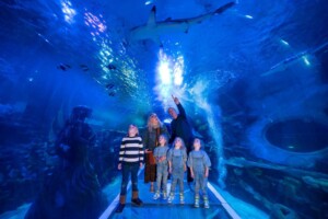 sea life aquarium birmingham