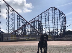 blackpool pleasure beach dog days