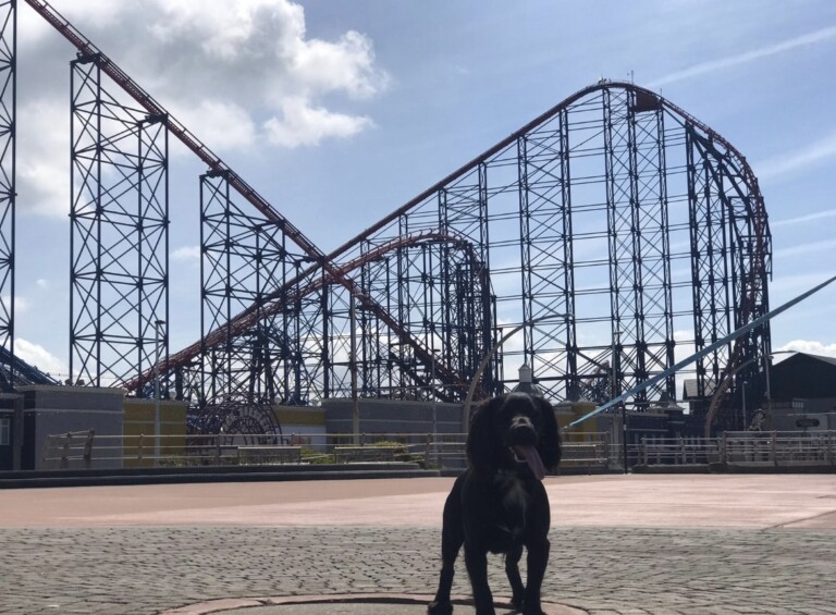 blackpool pleasure beach dog days