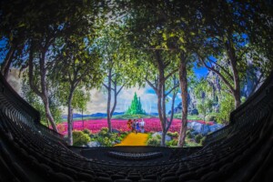 wizard of oz sphere