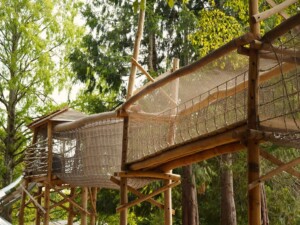 Greenspan Projects Birdworld
